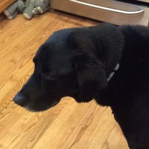 Meet your Posher, Brenda